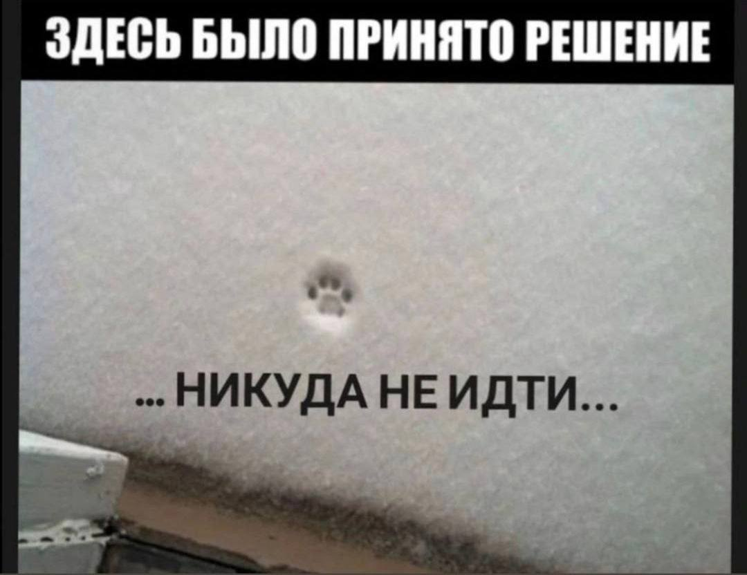 #Викторина «Архетипы внутреннего критика»