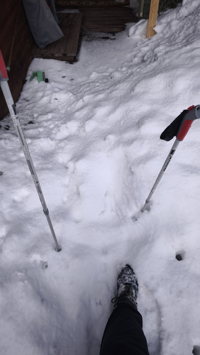 Хорошо, , что я из дома взяла палки для скандинавской ходьбы, они очень помогли в преодолении препятствия