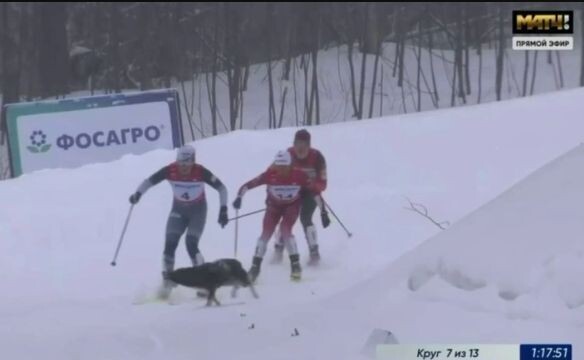    Скриншот трансляции «Матч ТВ»