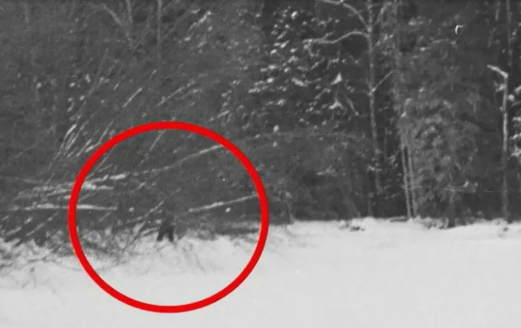 Перевал Дятлова: что говорят последние исследования?