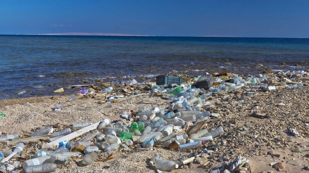 Пластик в океане: масштаб проблемы