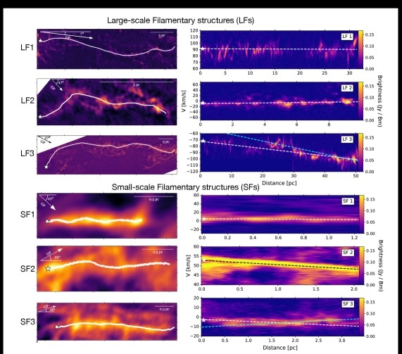     Сравнение морфологии трёх крупных и трёх малых филаментов. Они демонстрируют как сходство — протяжённые нитевидные структуры, согласованные в координатах «положение–скорость–скорость по лучу зрения», — так и различия, прежде всего в масштабах. На правых панелях представлены диаграммы «положение–скорость» (PV), построенные вдоль осей филаментов. Они показывают, что структуры остаются в основном кинематически связными. На левых изображениях показаны карты интегральной интенсивности. В левом верхнем углу каждого изображения указан угол между осью филамента и плоскостью Галактики. Белые звёздочки отмечают точку, от которой начинается построение PV-диаграммы на правых панелях. Малые филаменты демонстрируют непрерывную кинематическую структуру на своей небольшой длине, тогда как у крупных филаментов на масштабах более 10 парсек заметны небольшие разрывы в распределении скоростей (особенно у LF1 в центральной части).    
 Источник: arXiv:2602.20262