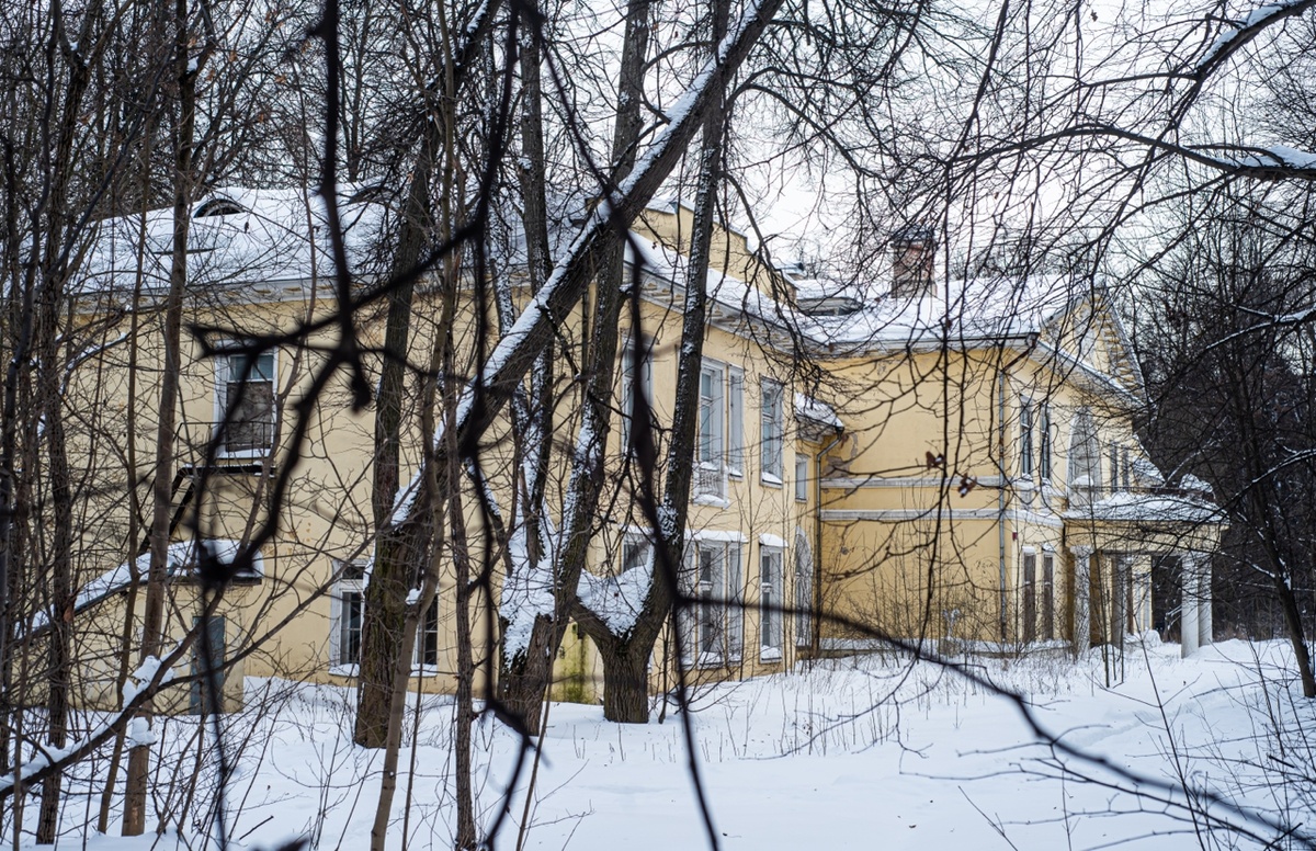 Усадьба Виноградово. Взято из Медистока.рф