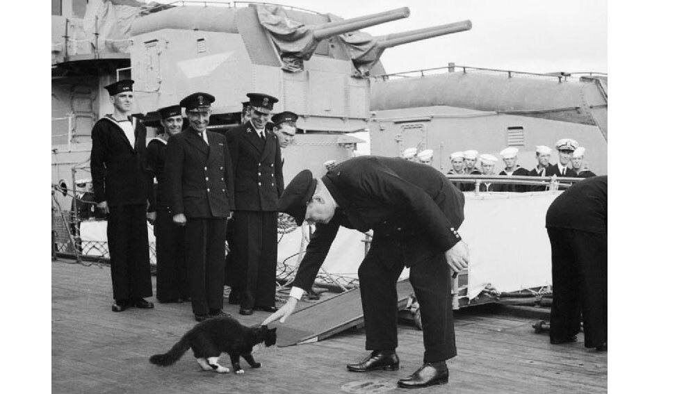 Фото из ТГ канала Юдии Меньшовой