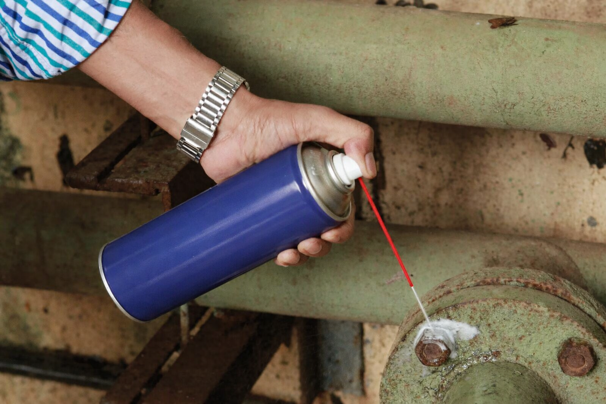 Фото из открытых источников 