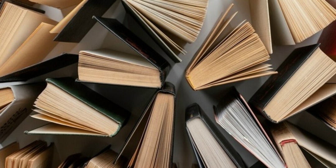 Названы самые популярные писательницы России