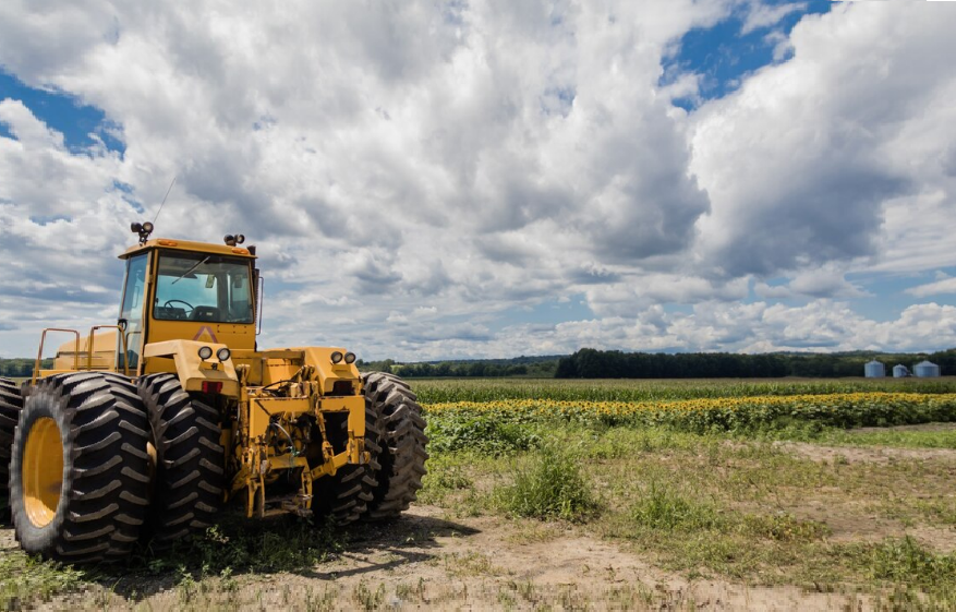    Фото с ru.freepik.com Марина Ецкова