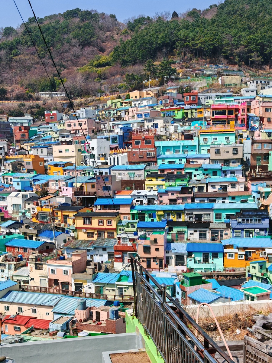 Известный вид