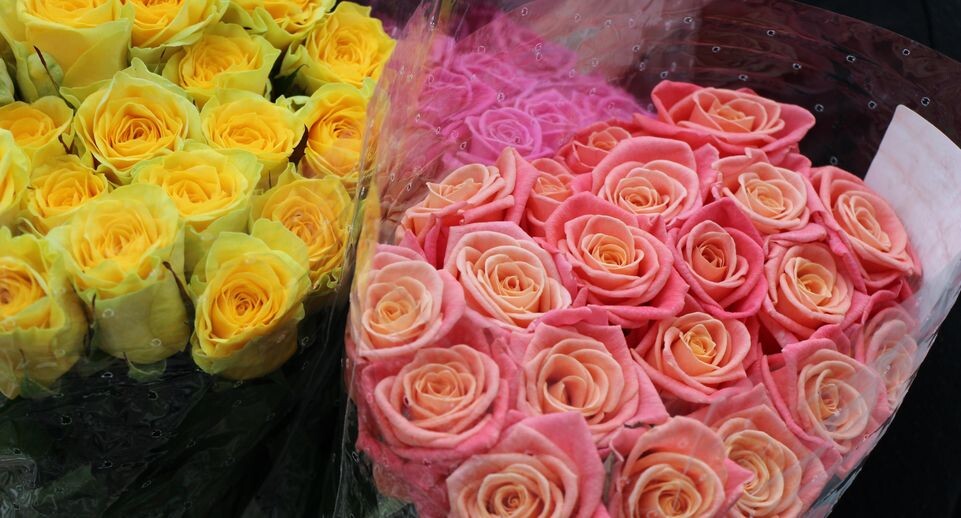    Медиасток.рф