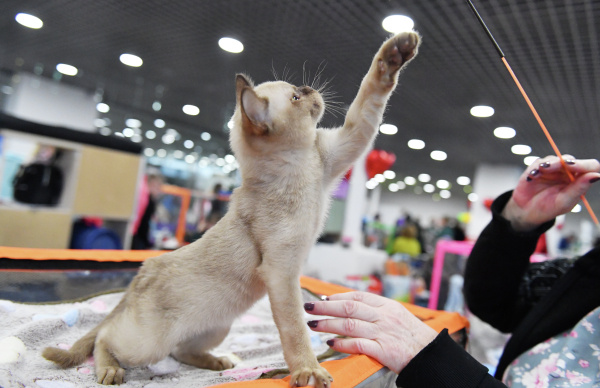 Фото: РИА Новости/Наталья Селиверстова