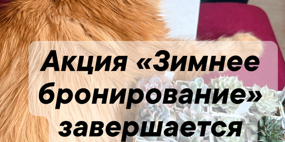 Акция «Зимнее бронирование» завершается 10 марта