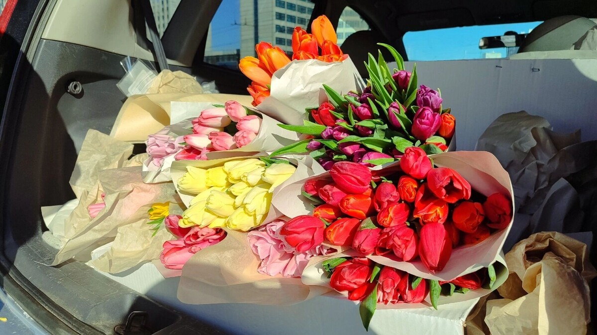    В праздник не стоит оставаться дома   atas.info