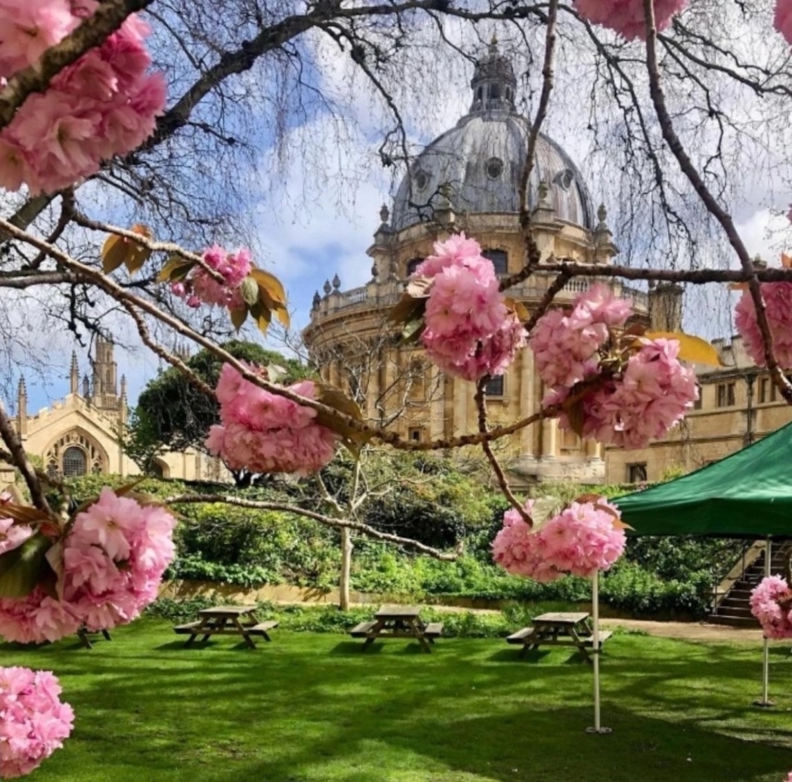 Оксфорд и Кембридж