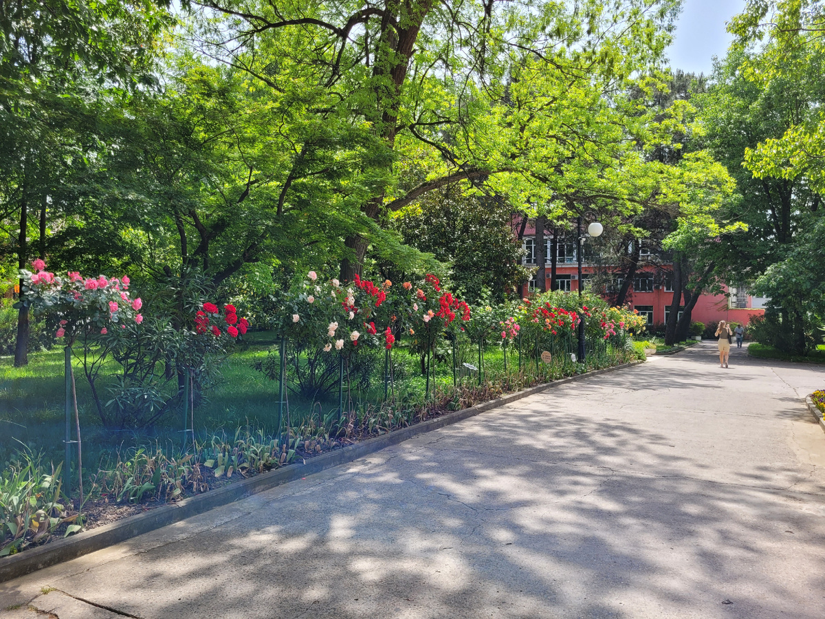 Иногда организму нужен не шумный отдых, а спокойное пространство без суеты.