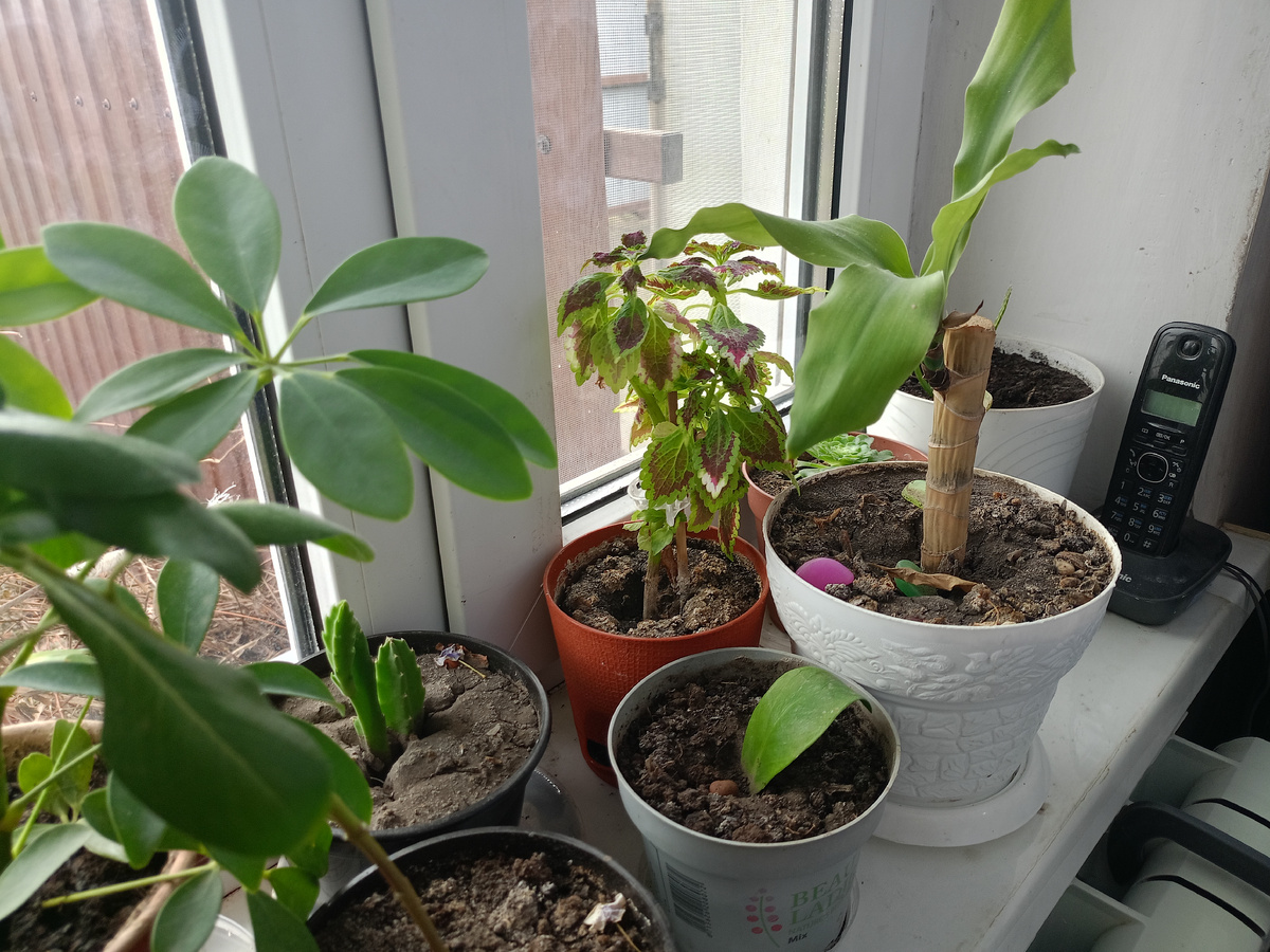 Фото автора канала