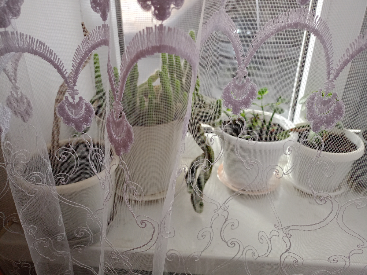 Фото автора канала