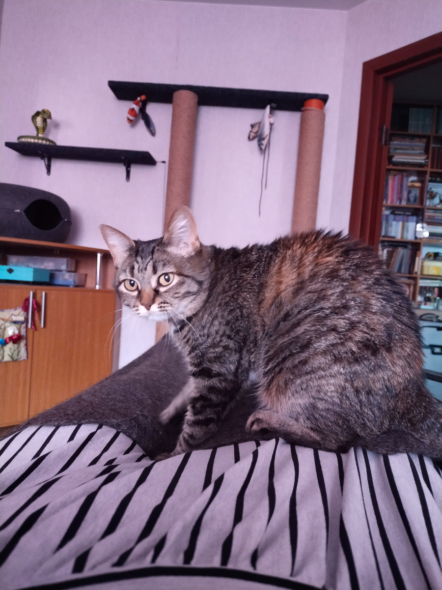 Слабонервным просьба не листать! 😁