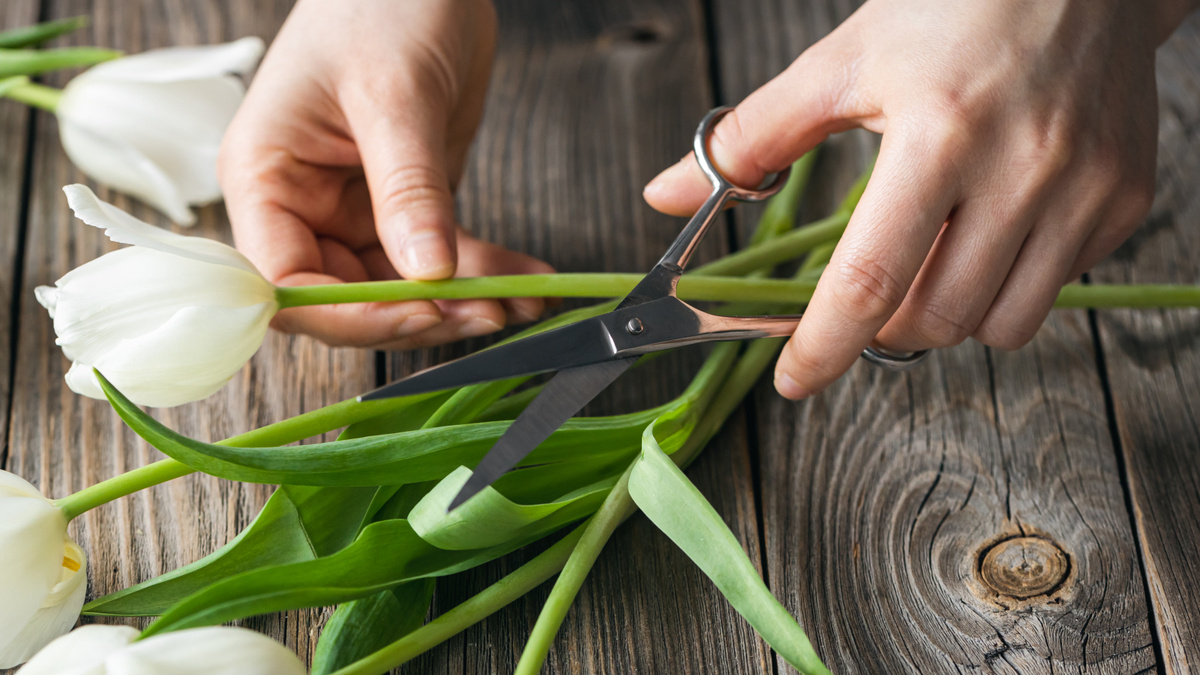    Фото: портал Freepik