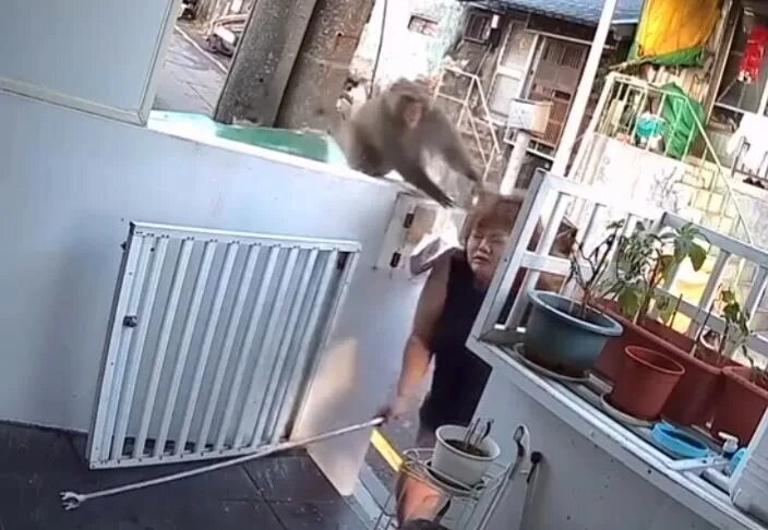    Стоп-кадр whatsthejam.com