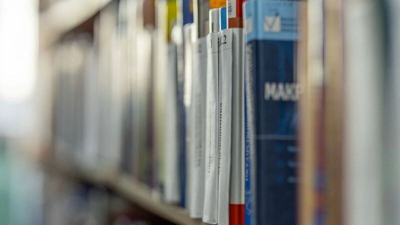    Фото: Федор Воронов/«Ямал-Медиа»