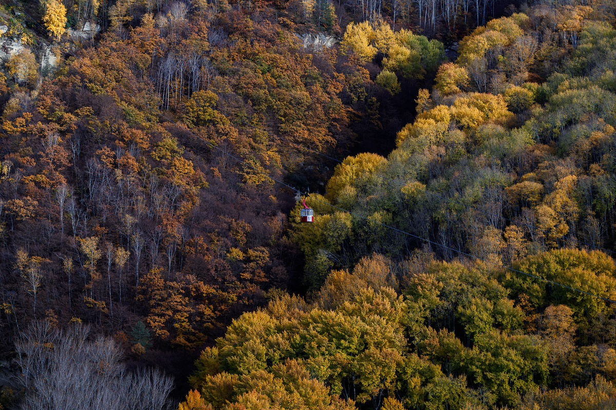 Фото: СвоёТВ/Сергей Пархисенко