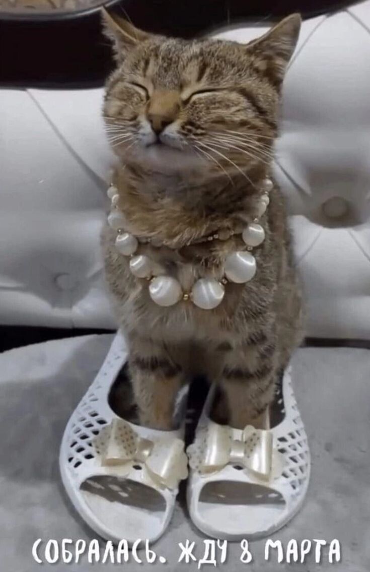 Фото из открытого источника в интернете.