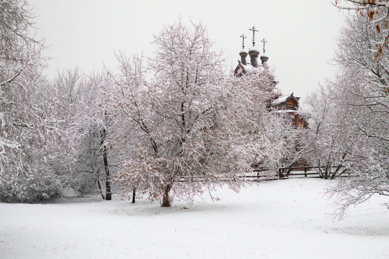    Фото: flickr.com/Коля Сан/CC BY-NC-ND 4.0 Зоя Шпанько