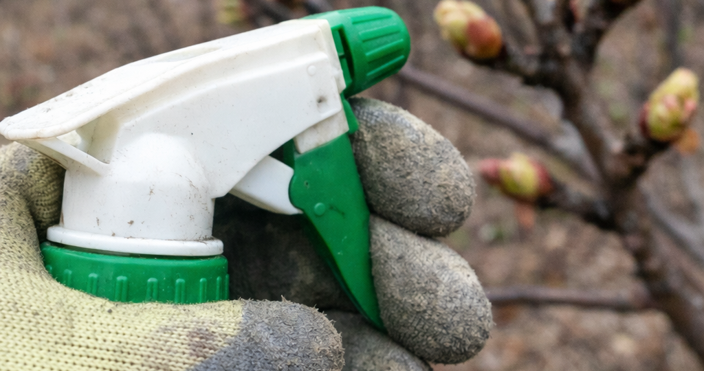 ‍Почки набухли, а вы еще не опрыскали сад? Вы уже опоздали на 7 дней