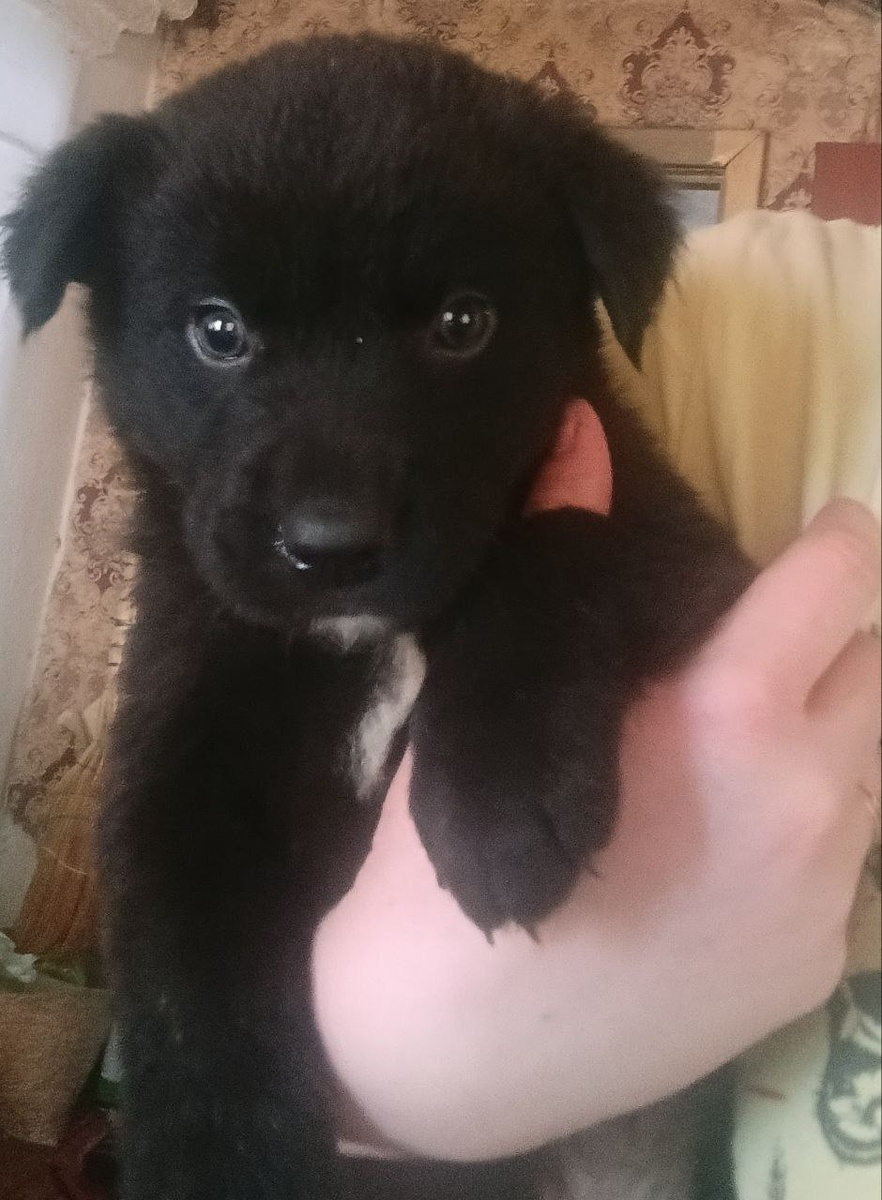 Это мальчишка