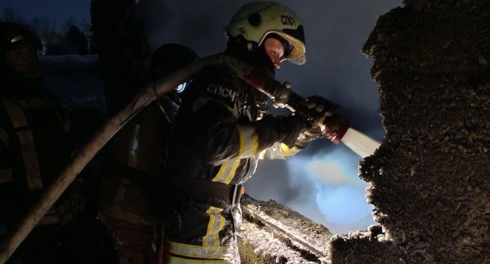 В Новосибирской области при пожаре погибли мать и двое детей