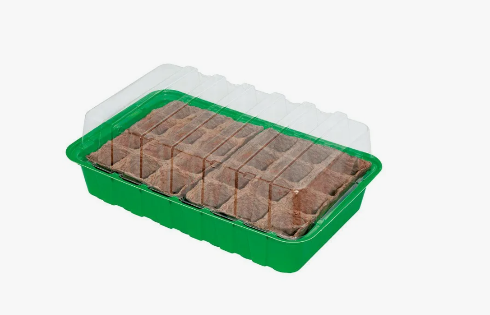 Мини-теплицы (фото автора)