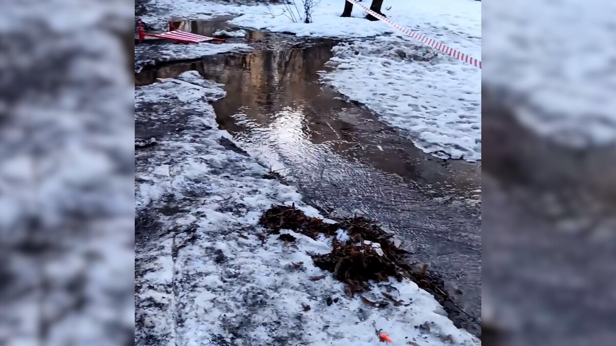    Фото: соцсети