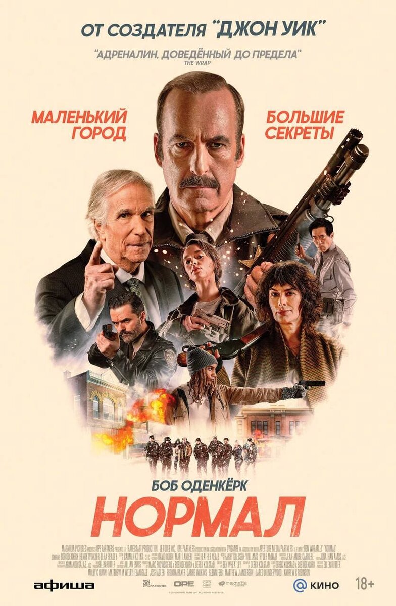    Постер боевика «Нормал»