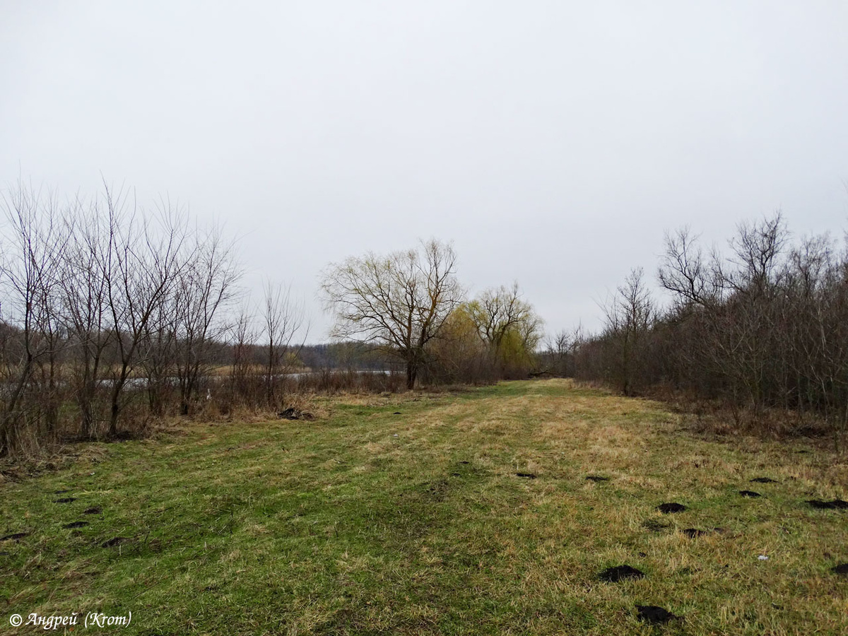 Поляна у реки