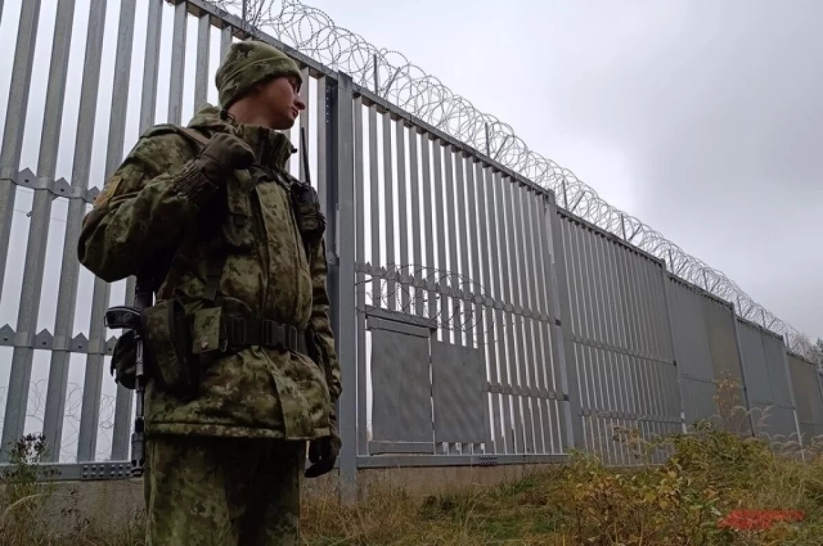    «На пузе по навигатору».