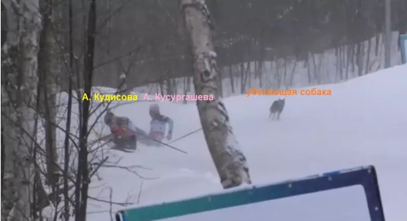    Скриншот (в ред. Веллньюз) с трансляции