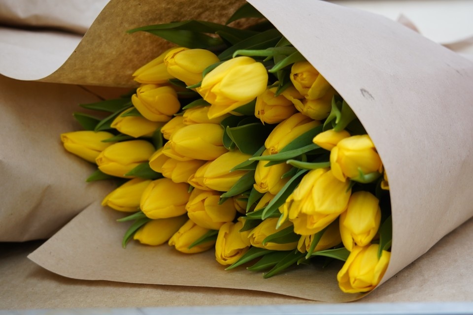    Те, кто жалеет пенсионерку, не знают главного. ИВАНОВА Диана