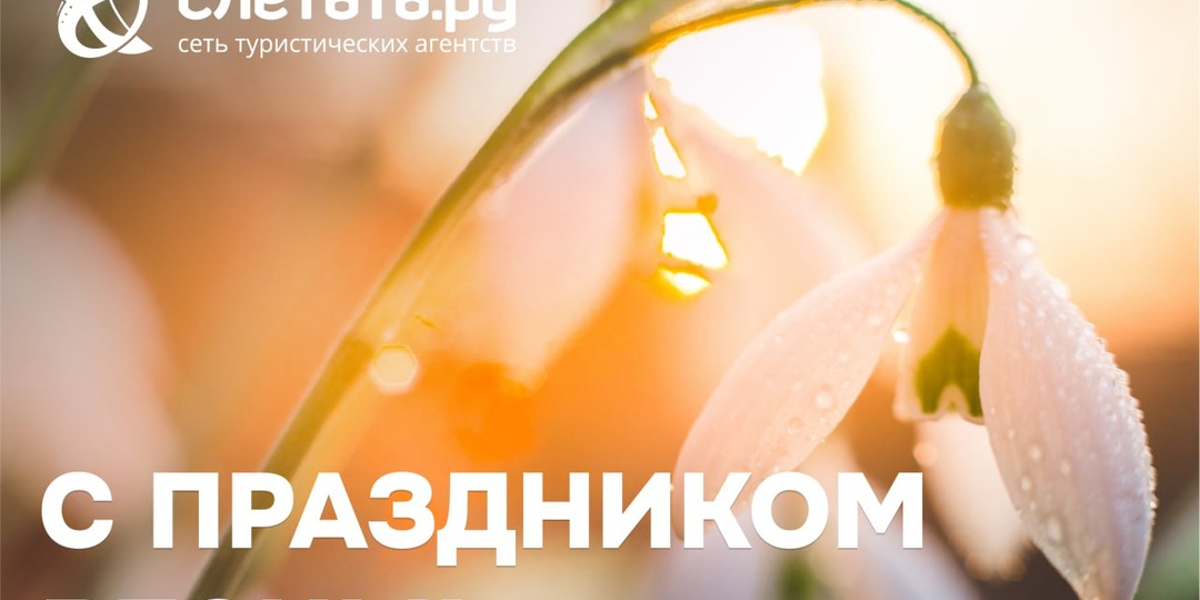 Дорогие дамы