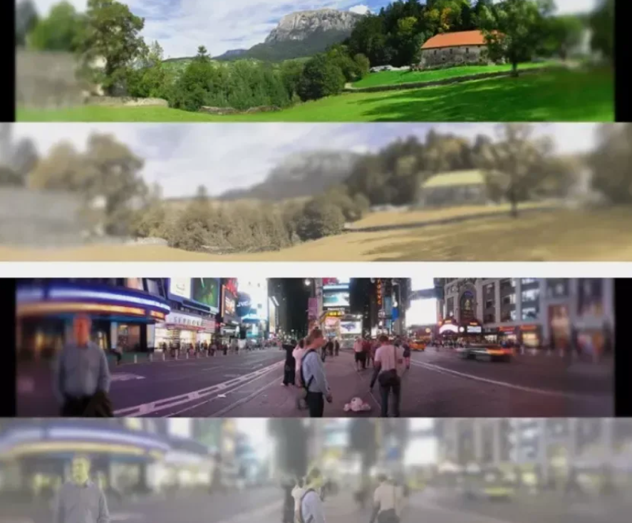 Так видят кошки