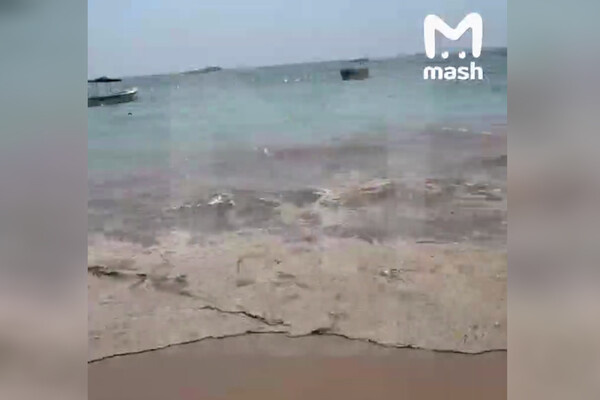 Telegram-канал «Mash»  📷