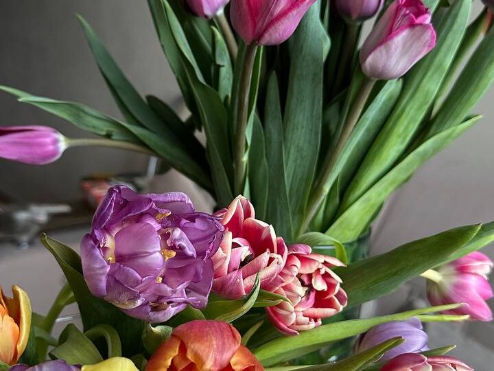 С 8 Марта, милые женщины!