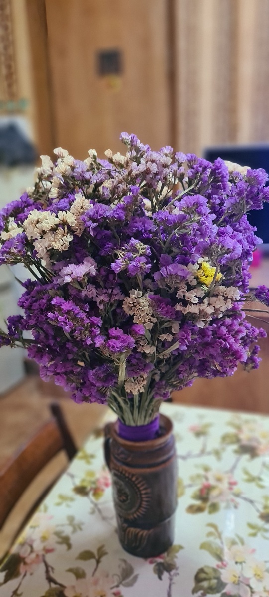 Прошлогодние сухоцветы .Статица .