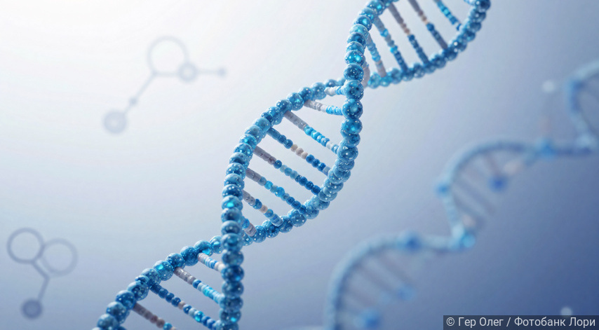 Фотобанк Лори