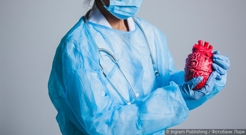 Фотобанк Лори