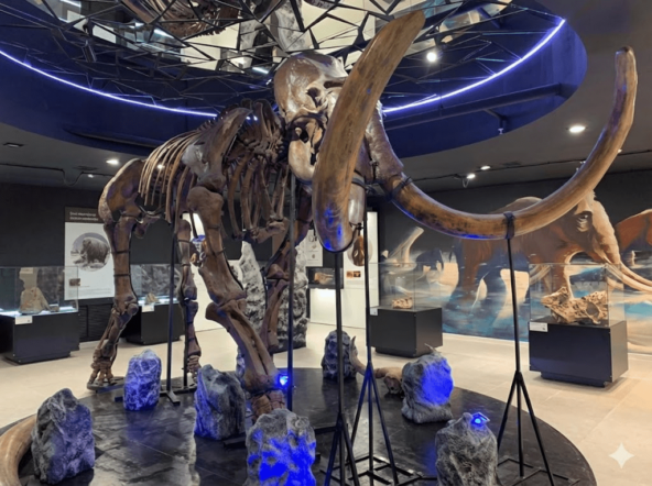 Ремонт коммерческой недвижимости в Сочи: бьюти, HoReCA, офисы, медцентры и магазины