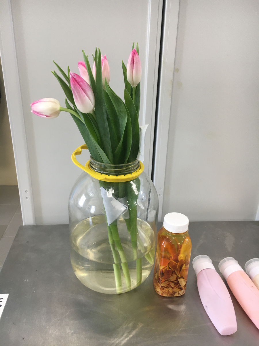 Угадаете контрольный образец)?