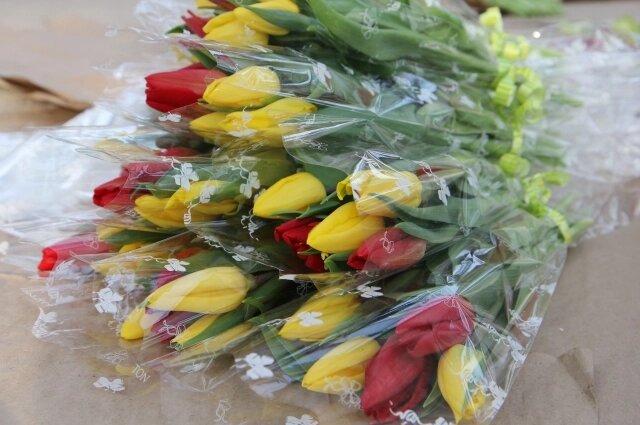    Фото: пресс-служба Россельхознадзора