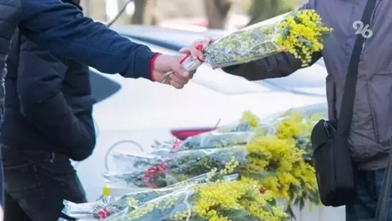      Фото: ИА «Победа26»