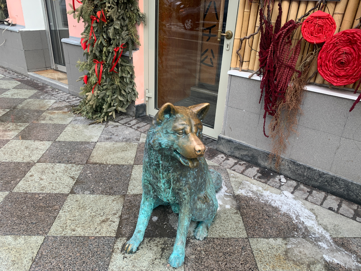 Хатико с натертым носом