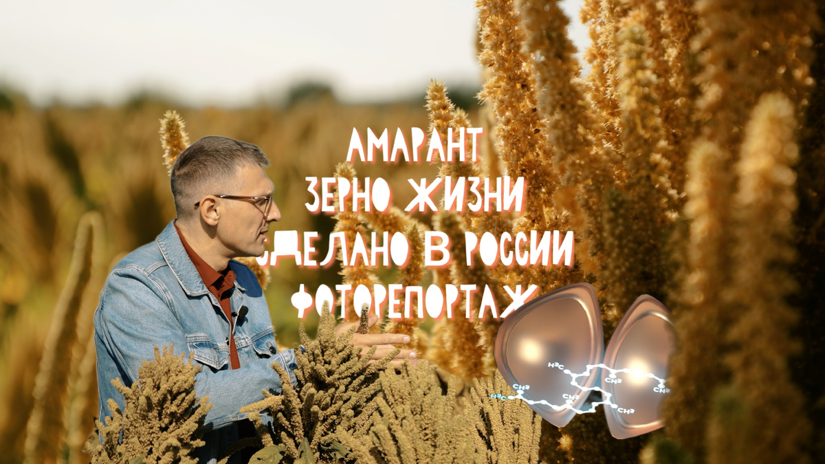 Обложка статьи "Амарант — Зерно Жизни" 